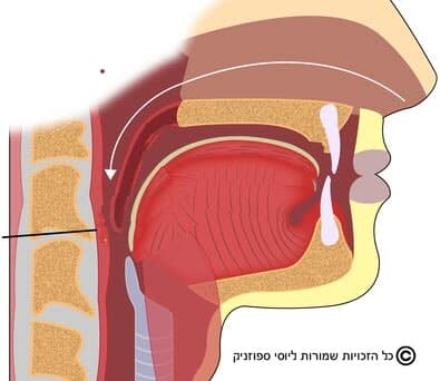 התקן דנטלי לדום נשימה